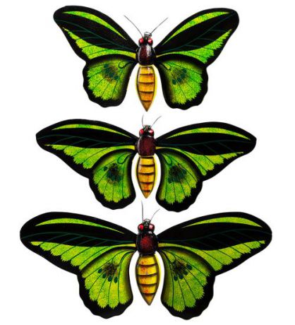 Настенное панно Decor and Gift, Бабочки, 41 см, зеленый, о. Бали