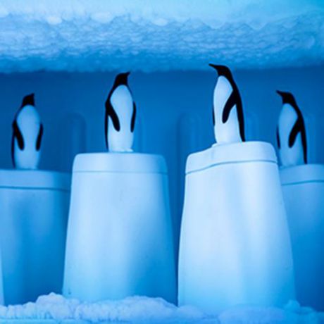 Форма для эскимо QUALY, Penguin on ice