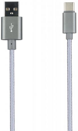 Prolife NL USB-C 2.0 (серебристый)