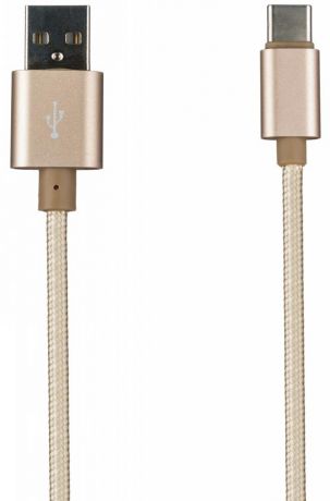 Prolife NL USB-C 2.0 (золотистый)