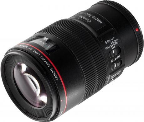 Canon EF 100 mm f/2.8L IS USM Macro