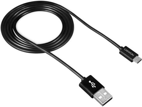 Canyon CNE-USBM1 microUSB 1м (черный)