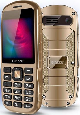 Мобильный телефон Ginzzu R1D шампань