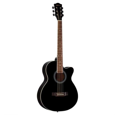 Акустическая гитара Phil Pro AS-3904 BK