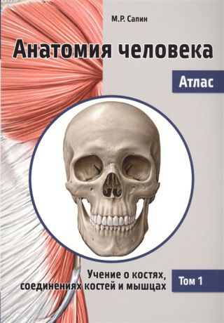 Сапин М. Анатомия человека Атлас Том 1 Учение о костях соединениях костей и мышцах