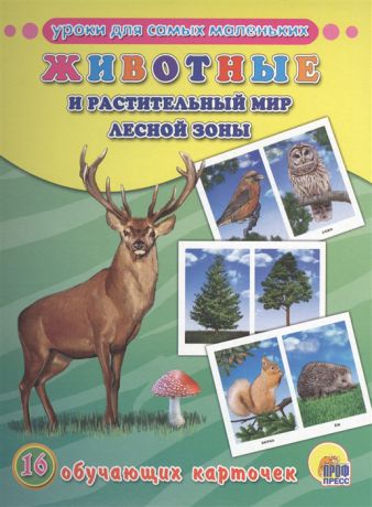 Костина В. (ред.) Животные и растительный мир лесной зоны 16 обучающих карточек
