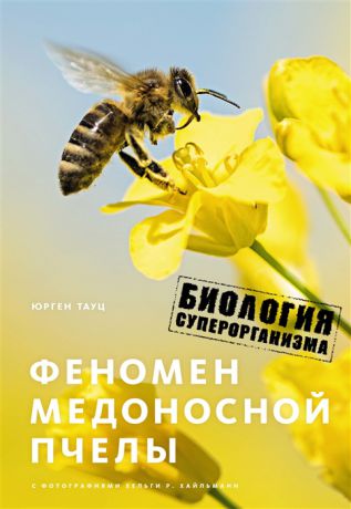 Тауц Ю. Феномен медоносной пчелы Биология суперорганизма