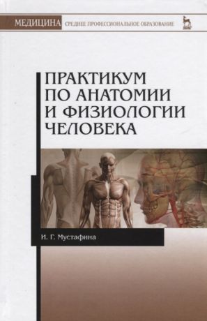 Мустафина И. Практикум по анатомии и физиологии человека