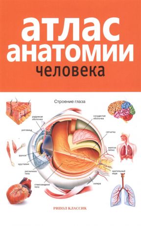 Красичкова Е. (ред.) Атлас анатомии человека