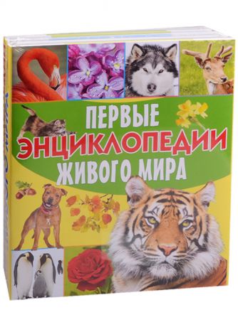 Первые энциклопедии живого мира Большие кошки Домашние животные Птицы Растения комплект из 4 книг
