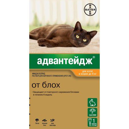 Bayer Капли Адвантейдж от блох для котят и кошек весом менее 4 кг - 1 пипетка