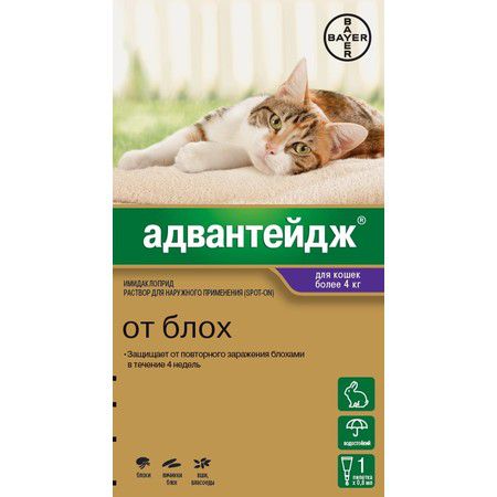 Bayer Капли Адвантейдж от блох для кошек весом более 4 кг - 1 пипетка