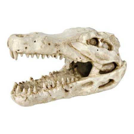 TRIXIE Грот Trixie для аквариума череп крокодила 14 см пластиковый