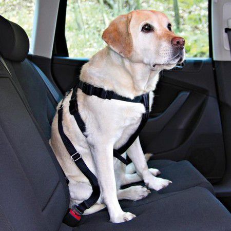 TRIXIE Автомобильный ремень безопасности Trixie со шлейкой для собак с обхватом туловища 80-110 см