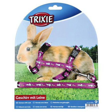 TRIXIE Шлейка Trixie для кролика с поводком 10 мм/1,20 м нейлоновая с рисунком