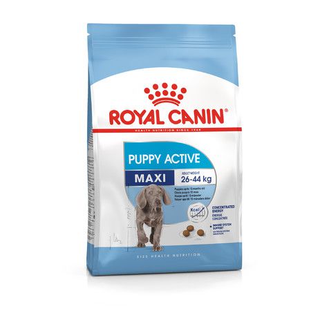 Royal Canin Сухой корм Royal Canin Maxi Junior Active для щенков крупныхпород с высокими энергетическими потребностями