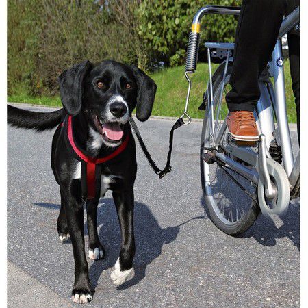 TRIXIE Велоспрингер Trixie для собак крупных пород