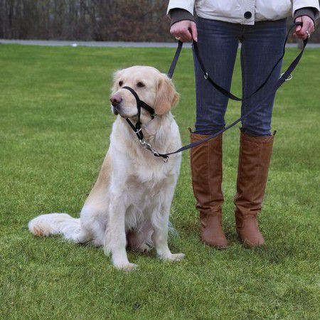 TRIXIE Намордник Trixie для собак тренировочный XL 46 см длина поводка 54-66 см