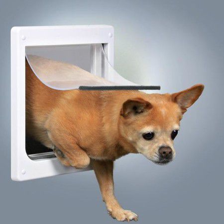 TRIXIE Дверца Trixie для кошек/собак с 2 функциями 20х21 см из пластика белого цвета
