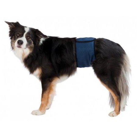 TRIXIE Пояс Trixie для собак для кобелей S–M 37–45 см темно-синий со сменным вкладышем в комплекте