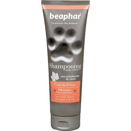 Beaphar Шампунь Beaphar Shampooing Eclat du Pelage для собак для создания блестящей шерсти - 250 мл