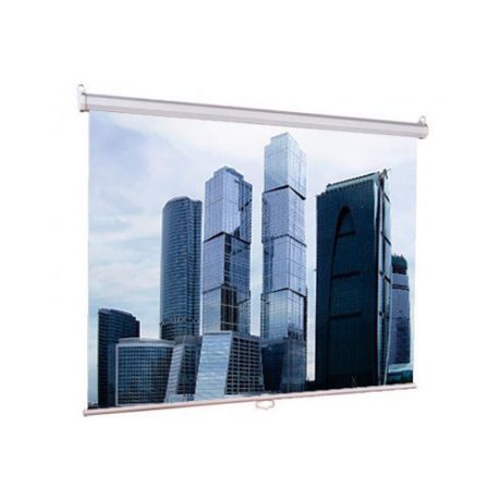 Экран LUMIEN Eco Picture LEP-100102, 180х180 см, 1:1, настенно-потолочный
