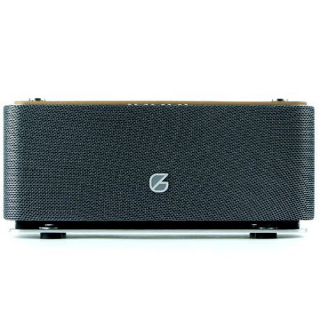 Акустическая система "LoftSound GZ-44 Silver"