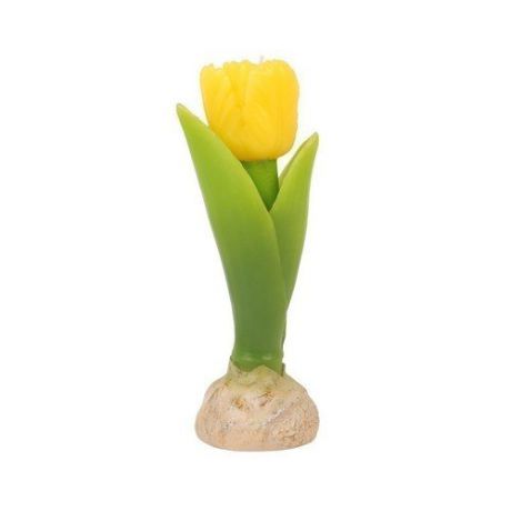 Свеча "Tulip"