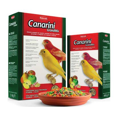 Корм Padovan Grand Mix Canarini для канареек основной (400 гр)