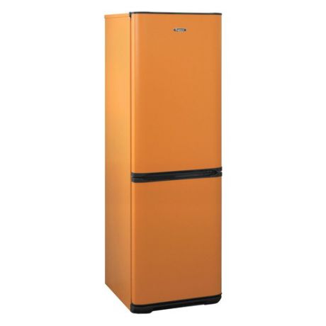 Холодильник БИРЮСА Б-T320NF, двухкамерный, оранжевый