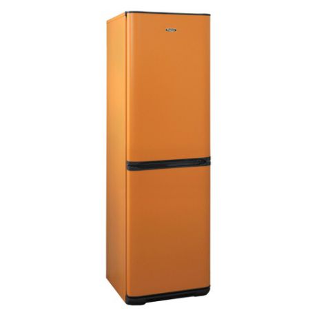 Холодильник БИРЮСА Б-T131, двухкамерный, оранжевый