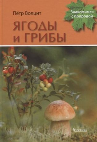 Волцит П. Ягоды и грибы
