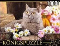 Пазл Konigspuzzle 1000 эл 68,5*48,5см Британский кот ГИК1000-6552