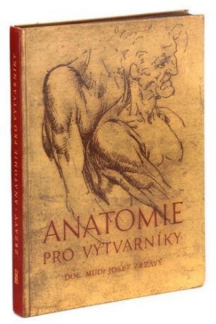 Anatomie pro vytvarniky