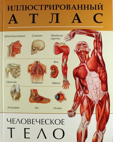 Рублёв С.,ред. Человеческое тело. Иллюстрированный атлас