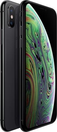 Смартфон Apple iPhone XS 512Gb Space Grey (Серый космос)