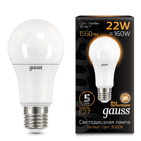 Лампочка Gauss A70 GS_102502122