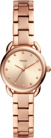 Наручные часы Fossil ES4497