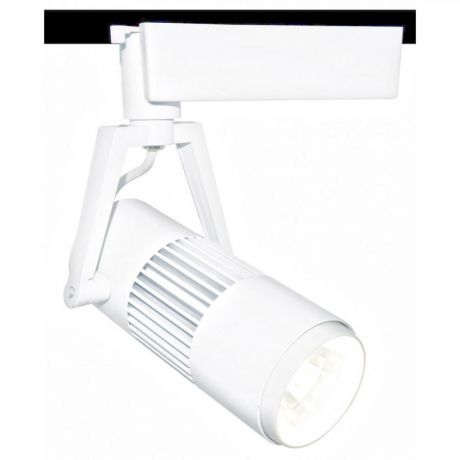Трековый светильник Arte lamp A6520PL-1WH