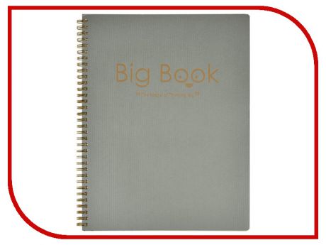 Бизнес-тетрадь Attache Selection Big Book А4+ 80 листов Silver 419981