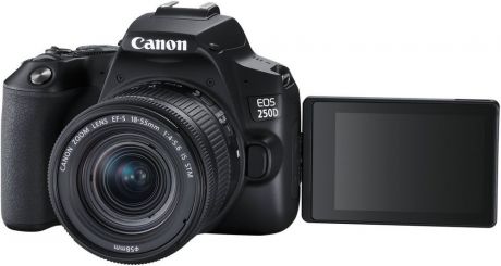 Canon EOS 250D 18-55IS STM (черный)