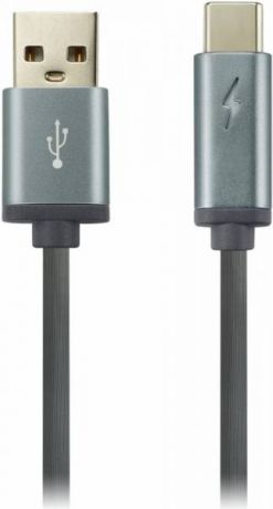 Canyon USB Type C - USB 2.0 1м (серый)