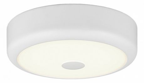 Накладной светильник Фостер CL706110