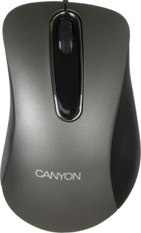 Canyon CNE-CMS3 (серебристый)
