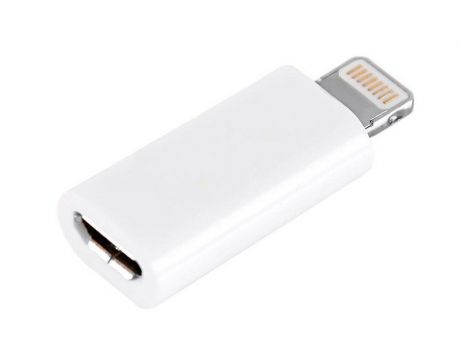 Аксессуар Alwise / Clever EQ006 / Media Gadget / iQFuture microUSB to 8-pin Lightning Adapter for iPhone 5 / iPad 4 / iPad mini