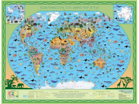 Карта Глобусный мир Животный и растительный мир Земли 20218