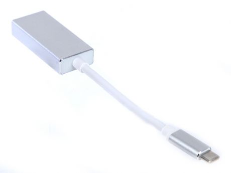 Аксессуар Palmexx USBC - Mini DisplayPort Silver PX/CBL USBC-mDP S