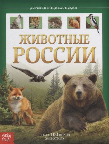 Соколова Ю. Животные России Детская энциклопедия
