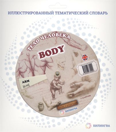 Тело человека Body