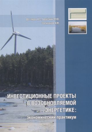 Дегтярев К., Березкин М., Залиханов А. Инвестиционные проекты в возобновляемой энергетике экономический практикум